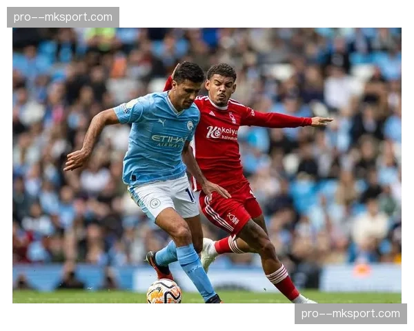 通讯：诺丁汉森林成功保级背后的数据团队——来自澳大利亚的足球分析师